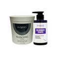 Hair lightening bleach powder and developer kit
