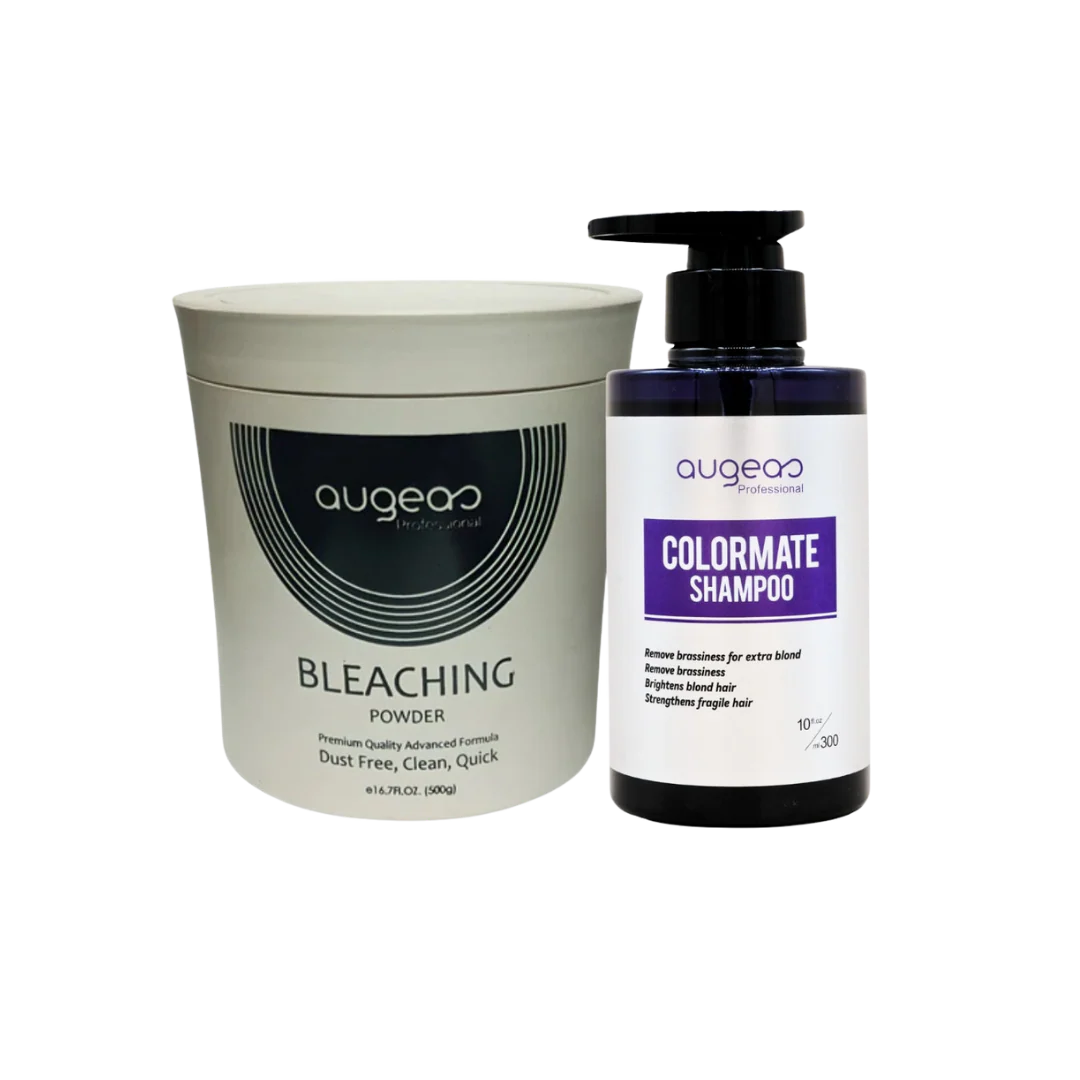 Hair lightening bleach powder and developer kit
